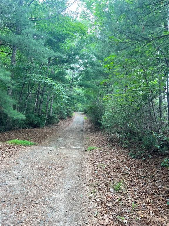 Tbd White Oak Road Purlear, NC 28665 - Photo 26 of 47 Gallery Image 26