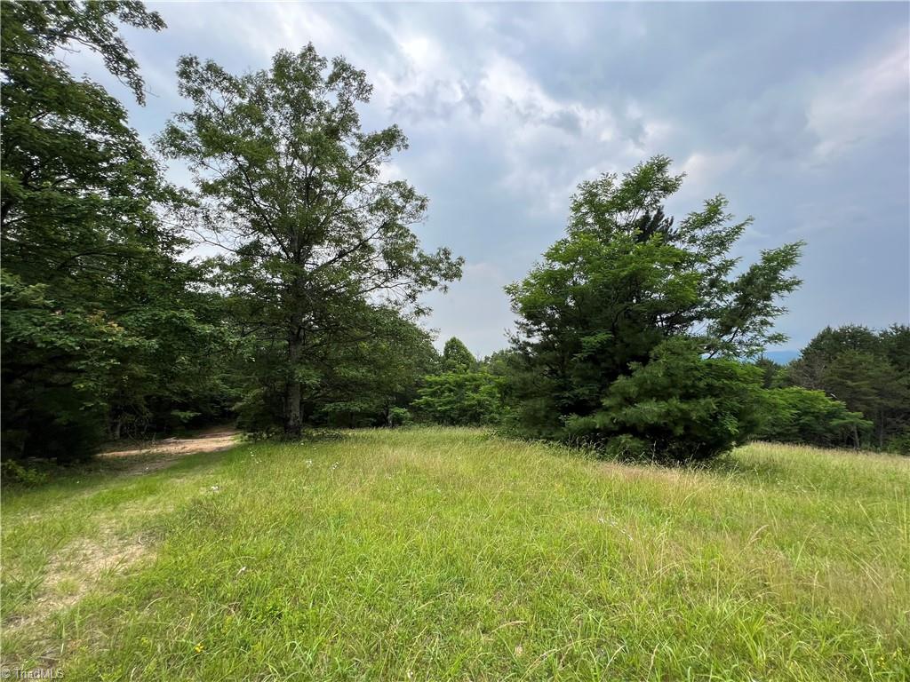 Tbd White Oak Road Purlear, NC 28665 - Photo 27 of 47 Gallery Image 27
