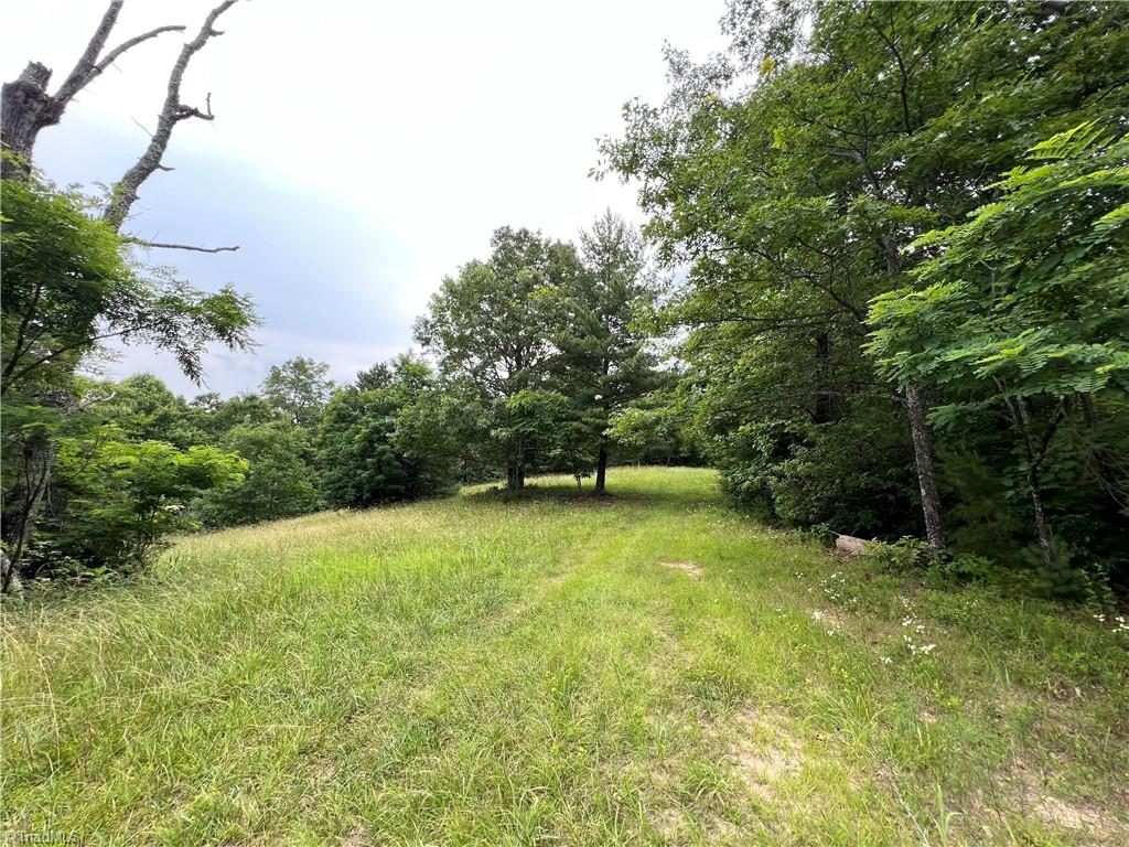 Tbd White Oak Road Purlear, NC 28665 - Photo 28 of 47 Gallery Image 28