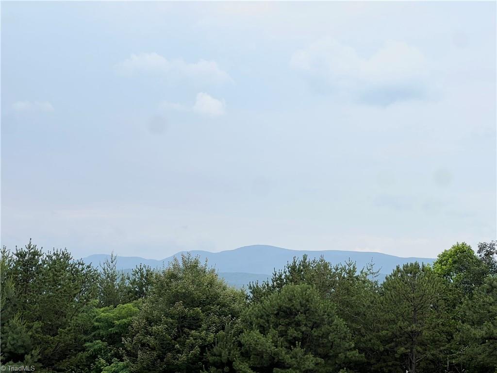 Tbd White Oak Road Purlear, NC 28665 - Photo 29 of 47 Gallery Image 29