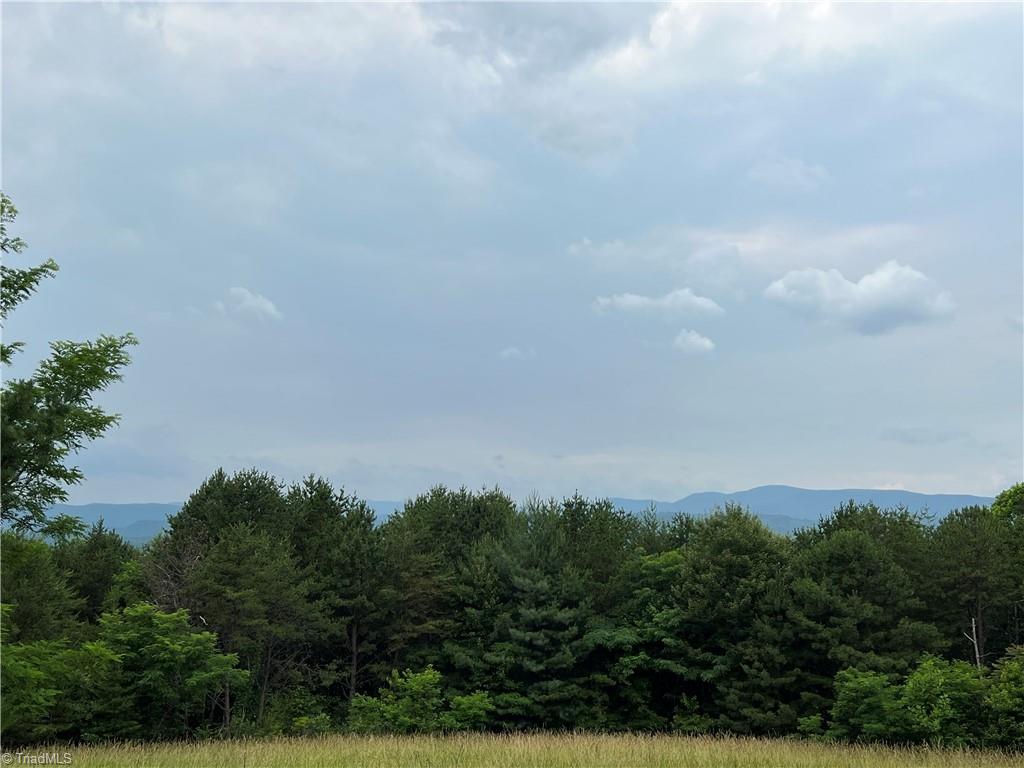 Tbd White Oak Road Purlear, NC 28665 - Photo 30 of 47 Gallery Image 30