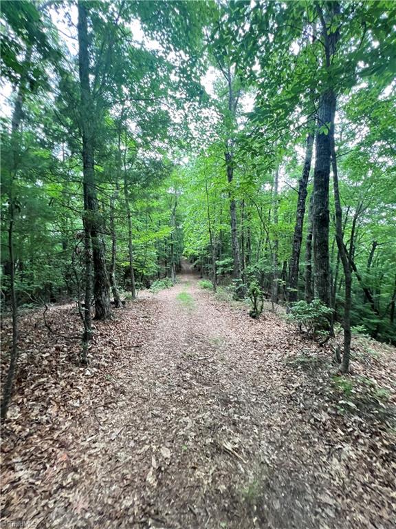 Tbd White Oak Road Purlear, NC 28665 - Photo 31 of 47 Gallery Image 31
