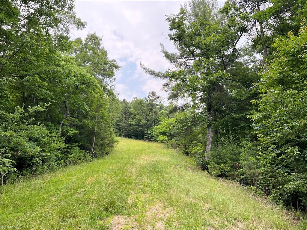 Tbd White Oak Road Purlear, NC 28665 - Photo 32 of 47 Gallery Image 32