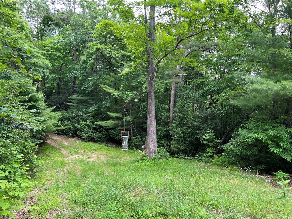 Tbd White Oak Road Purlear, NC 28665 - Photo 33 of 47 Gallery Image 33