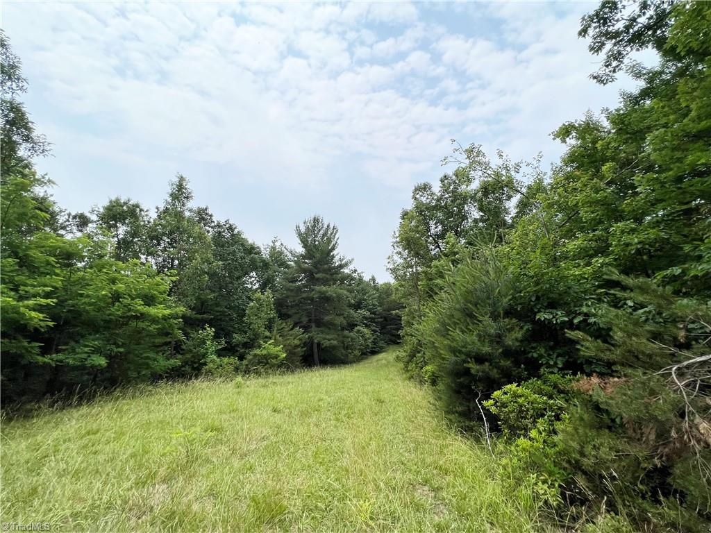 Tbd White Oak Road Purlear, NC 28665 - Photo 34 of 47 Gallery Image 34