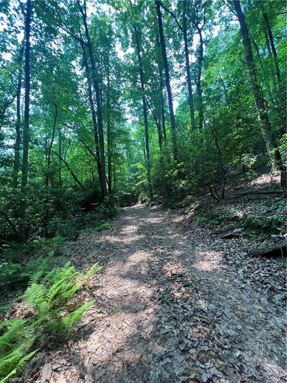Tbd White Oak Road Purlear, NC 28665 - Photo 42 of 47 Gallery Image 42