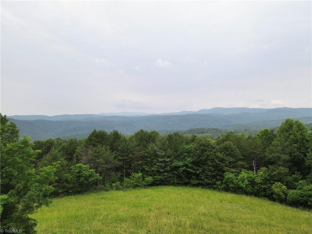Tbd White Oak Road Purlear, NC 28665 - Photo 43 of 47 Gallery Image 43