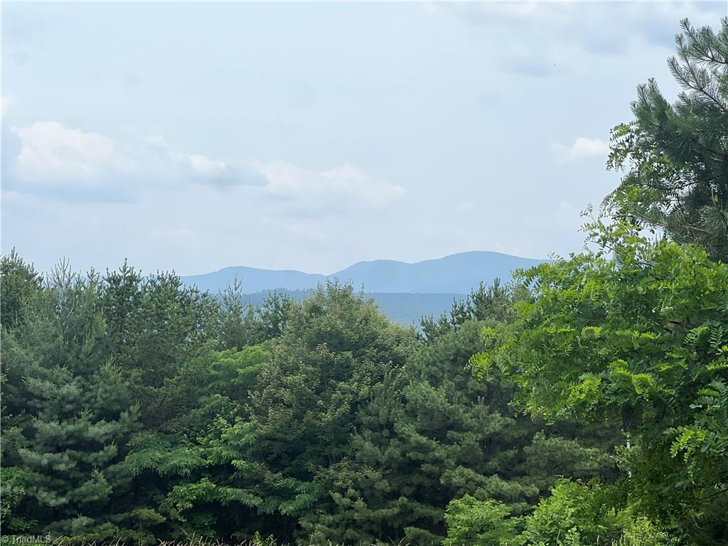 Tbd White Oak Road Purlear, NC 28665 - Photo 46 of 47 Gallery Image 46
