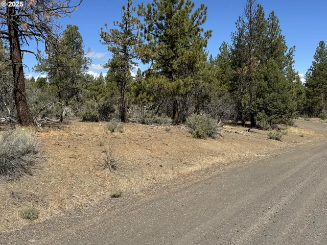 a view of a snow with trees in the background