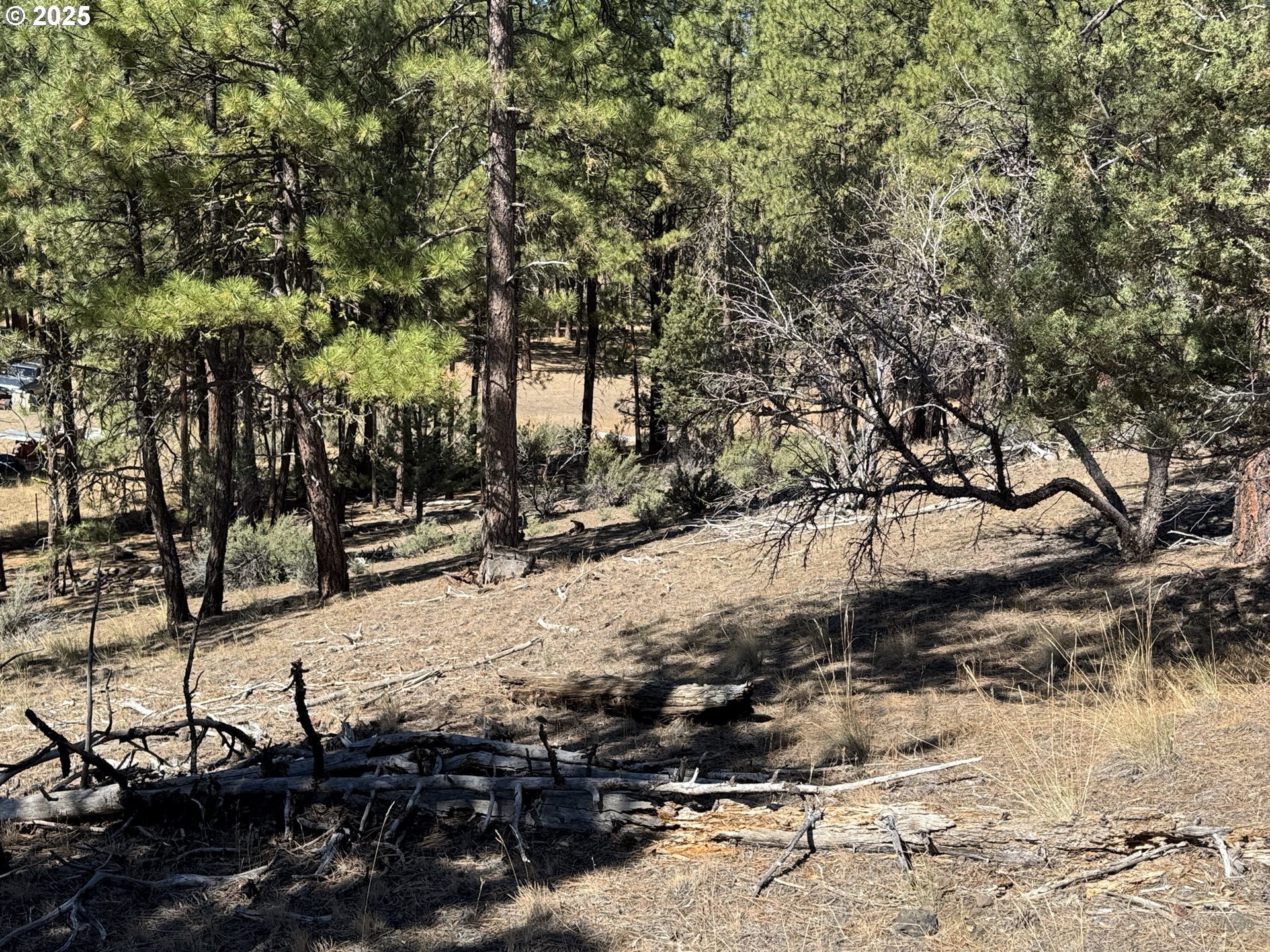 Jean Street, Unit 18 Chiloquin, OR 97624 - Photo 23 of 44 a view of snow on a road