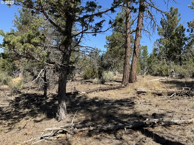 a view of a yard covered with snow