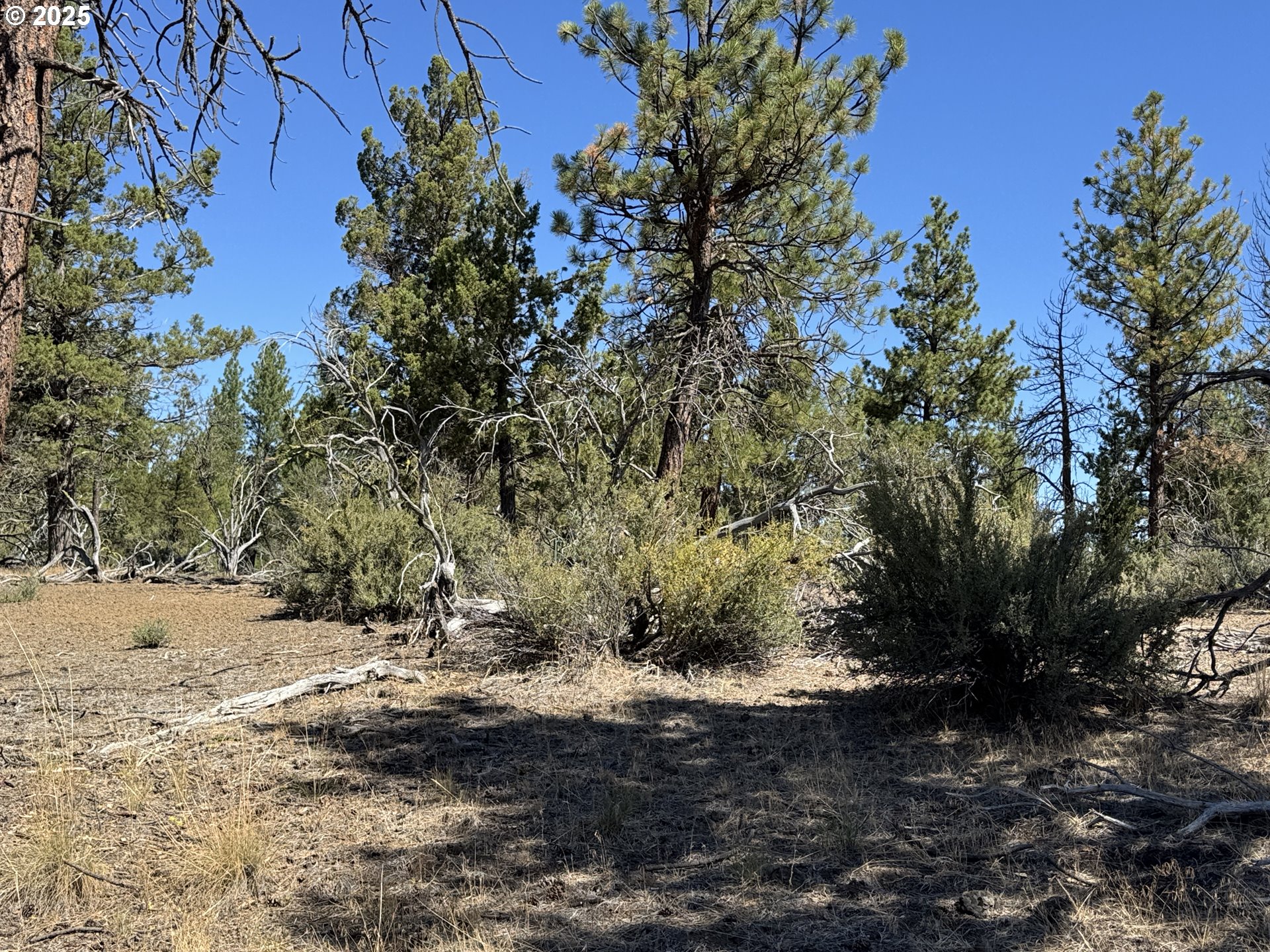 Jean Street, Unit 18 Chiloquin, OR 97624 - Photo 27 of 44 a view of snow on a road