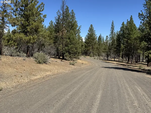 a view of a road with a trees