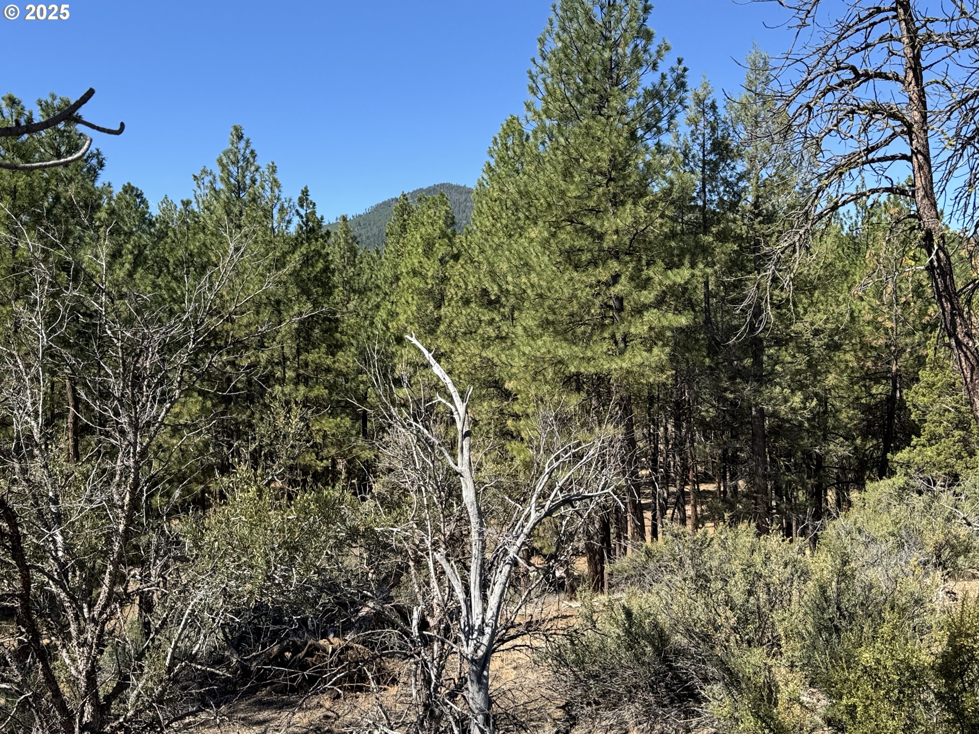 Jean Street, Unit 18 Chiloquin, OR 97624 - Photo 31 of 44