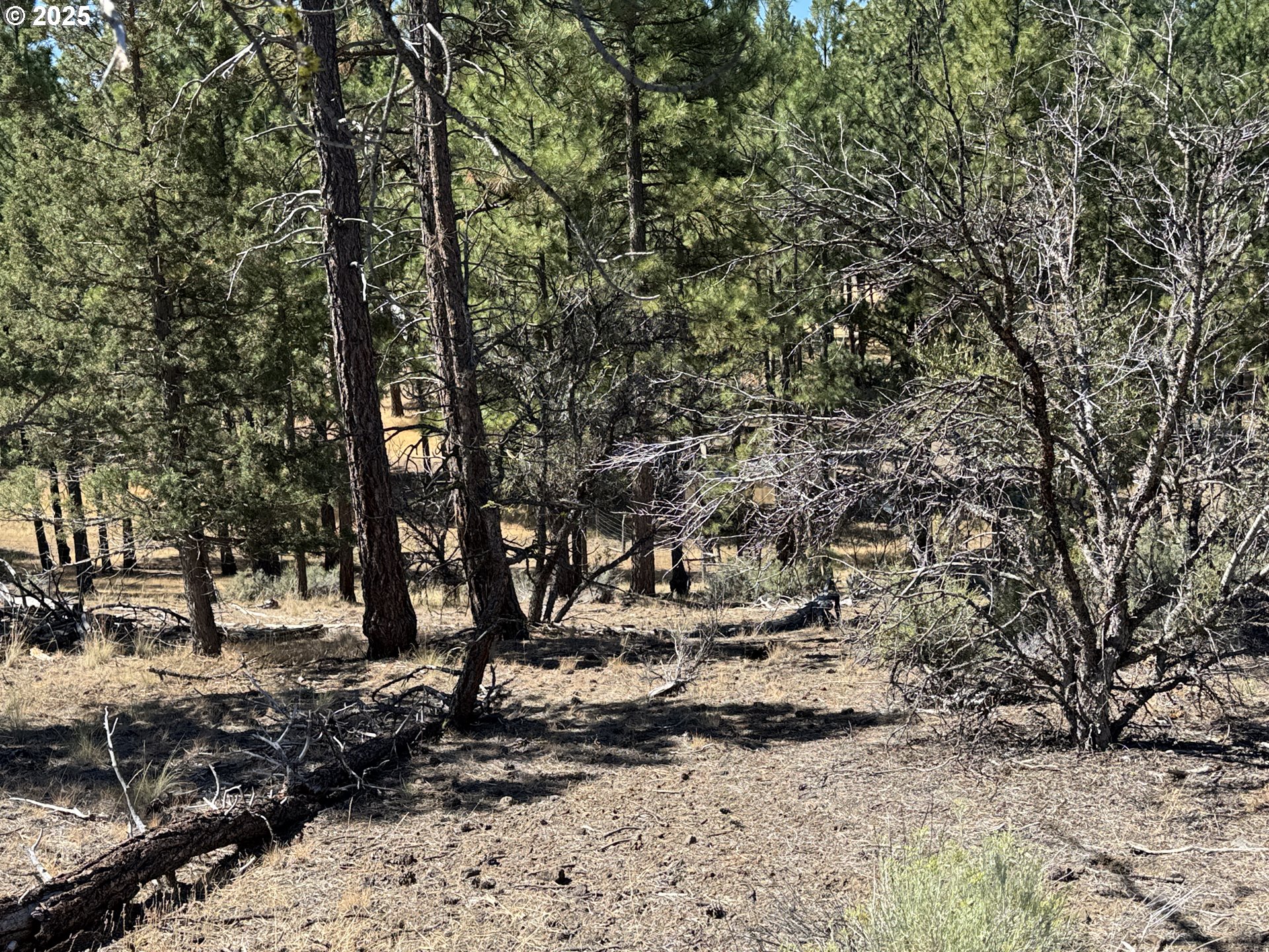 Jean Street, Unit 18 Chiloquin, OR 97624 - Photo 32 of 44 a view of outdoor space