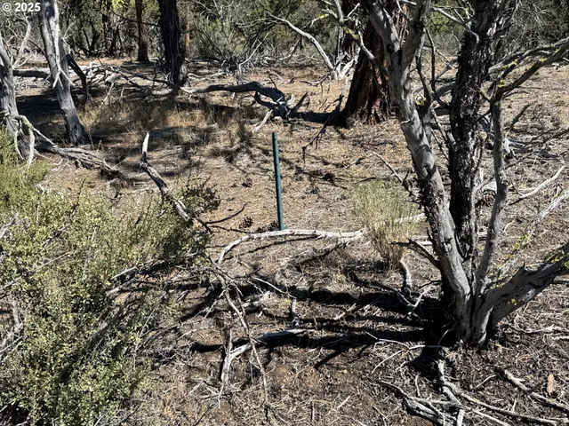 a view of a yard covered in snow