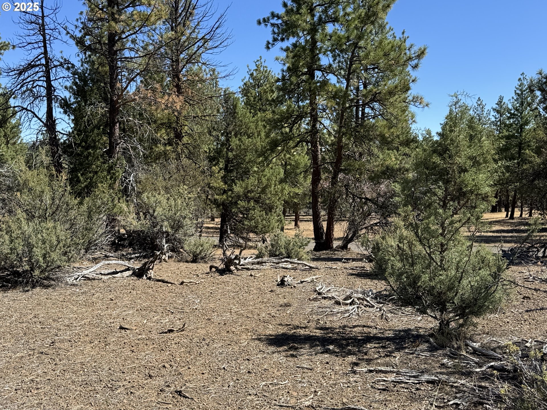 Jean Street, Unit 18 Chiloquin, OR 97624 - Photo 37 of 44 a view of a forest with trees