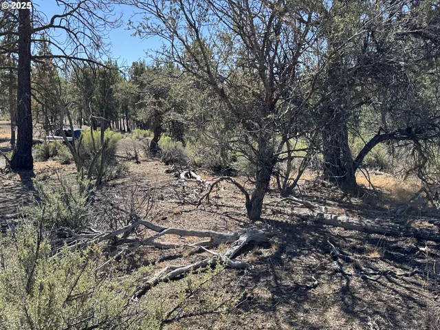 a view of road with trees