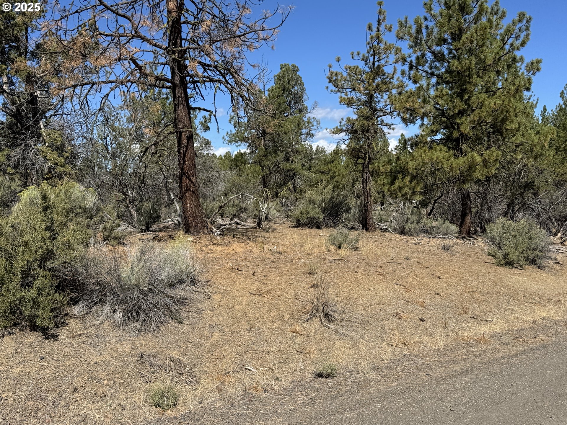 Jean Street, Unit 18 Chiloquin, OR 97624 - Photo 4 of 44 a view of a yard covered in snow