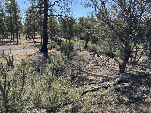 a view of road with trees