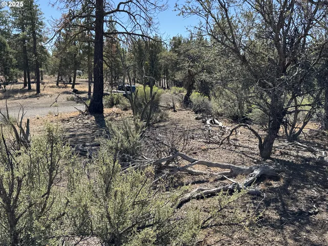 a view of road with trees