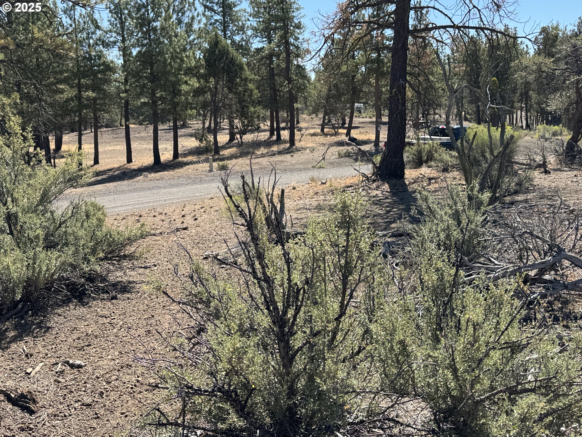 Jean Street, Unit 18 Chiloquin, OR 97624 - Photo 42 of 44 a view of road with trees