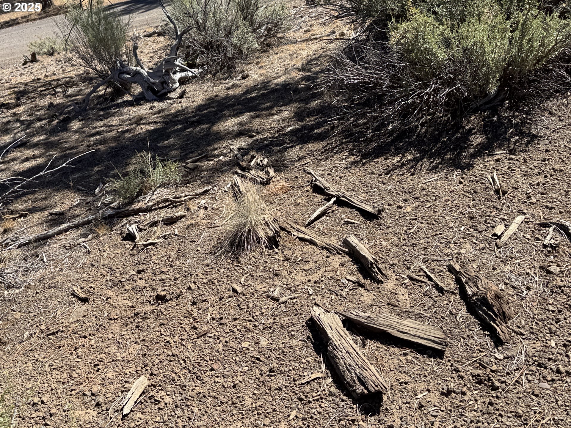 Jean Street, Unit 18 Chiloquin, OR 97624 - Photo 43 of 44 a view of a wooden floor