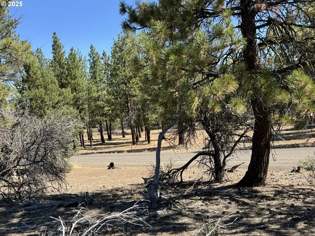 $15,000 | Jean Street, Unit 18, Chiloquin, OR 97624