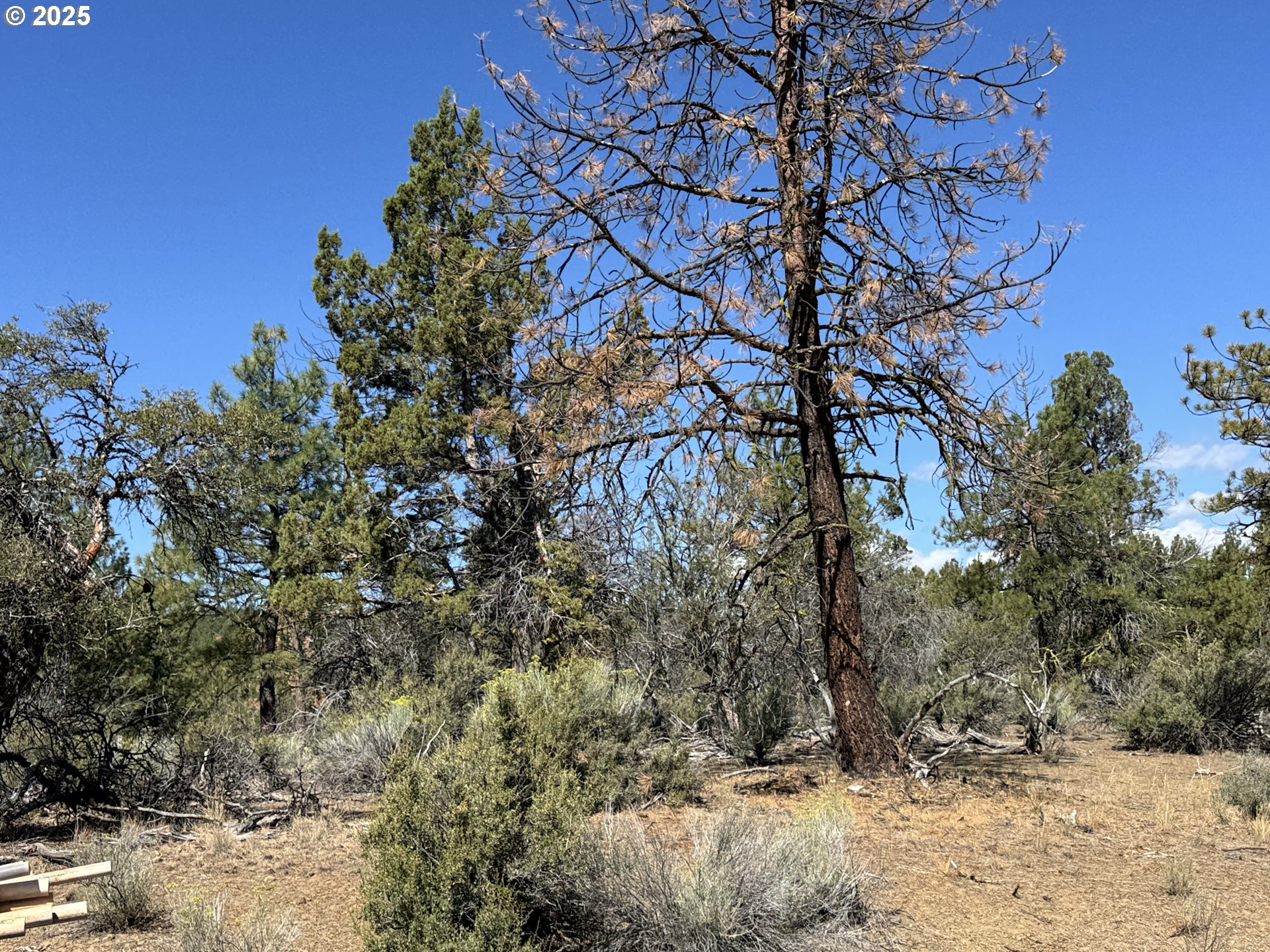 Jean Street, Unit 18 Chiloquin, OR 97624 - Photo 5 of 44 a backyard of a house with lots of green space
