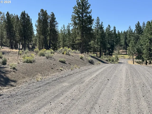 a view of outdoor space with trees
