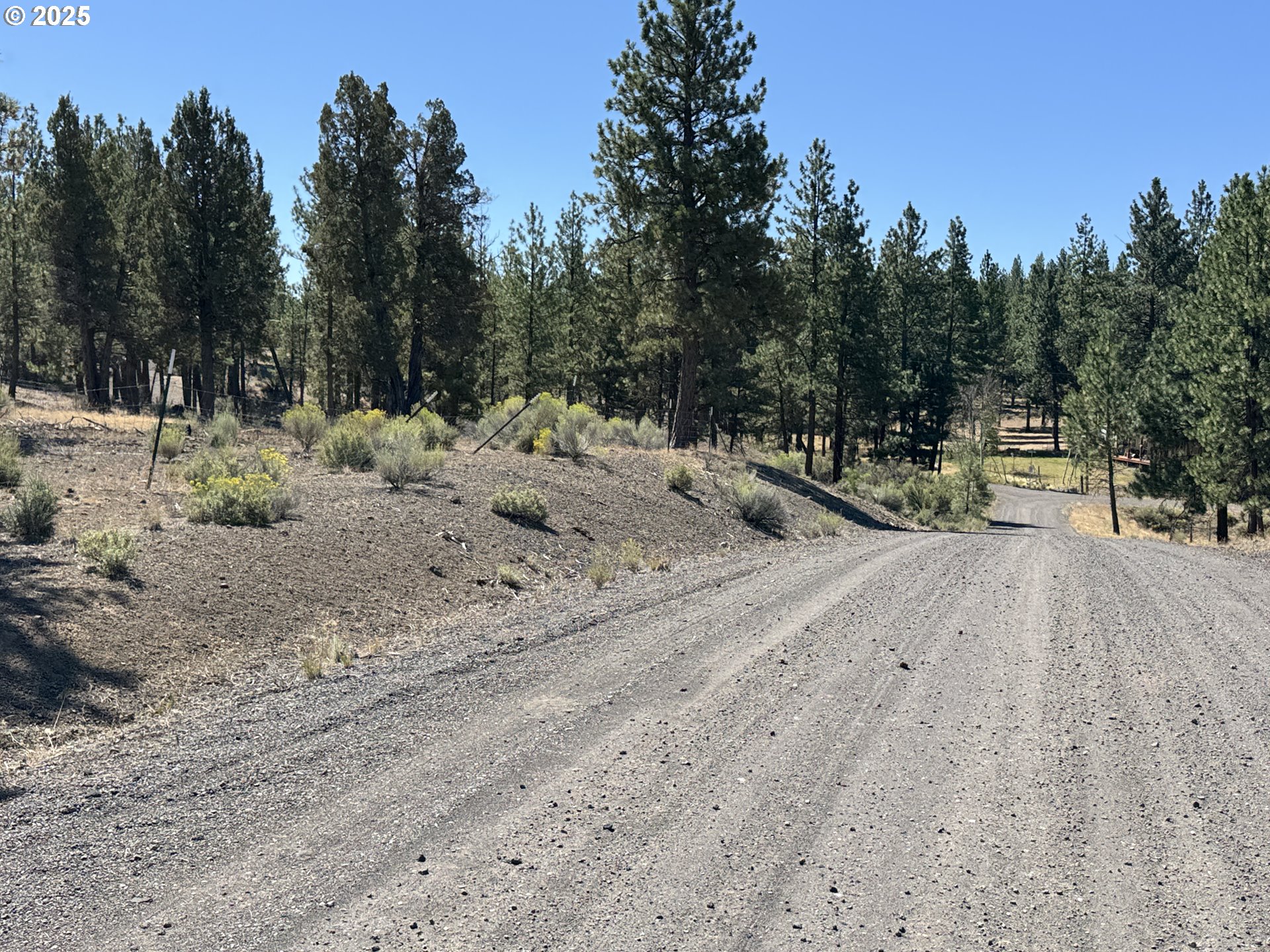 Jean Street, Unit 18 Chiloquin, OR 97624 - Photo 6 of 44 a view of outdoor space with trees