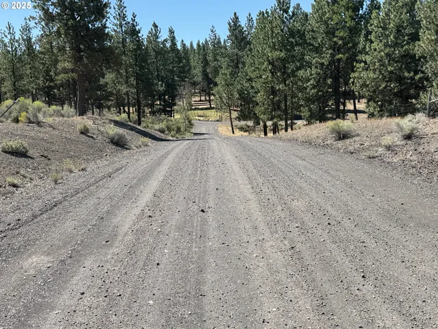 a view of outdoor space with trees
