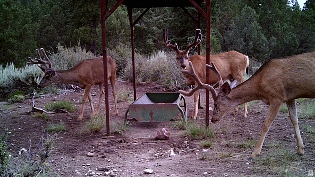 1955 West Mammoth Crk Road Hatch, UT 84735 - Photo 52 of 52