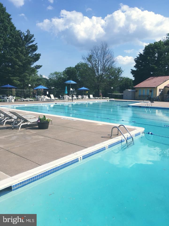 8007 Edinburgh Drive Springfield, VA 22153 - Photo 38 of 40 Saratoga Pool-memberships available!
