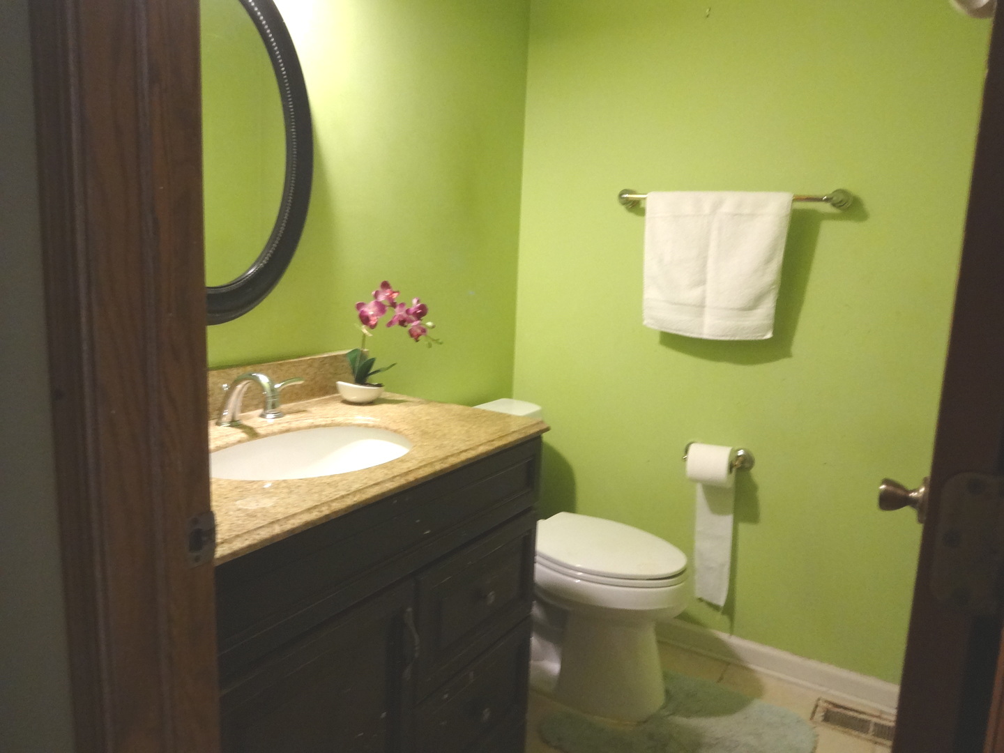 1340 Vernon Lane Bartlett, IL 60103 - Photo 12 of 24 a bathroom with a sink and a mirror