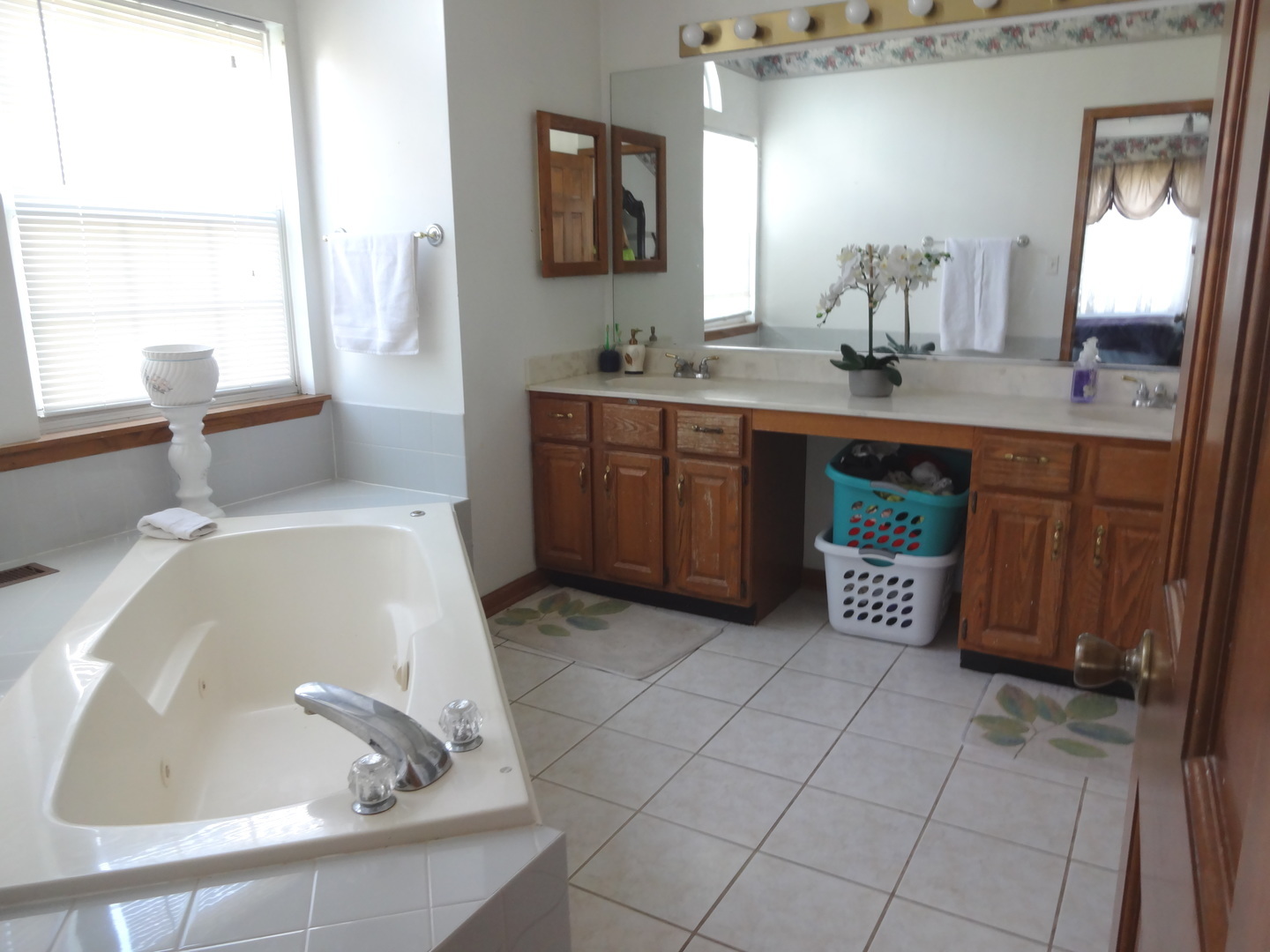 1340 Vernon Lane Bartlett, IL 60103 - Photo 15 of 24 a bathroom with a tub sink and mirror