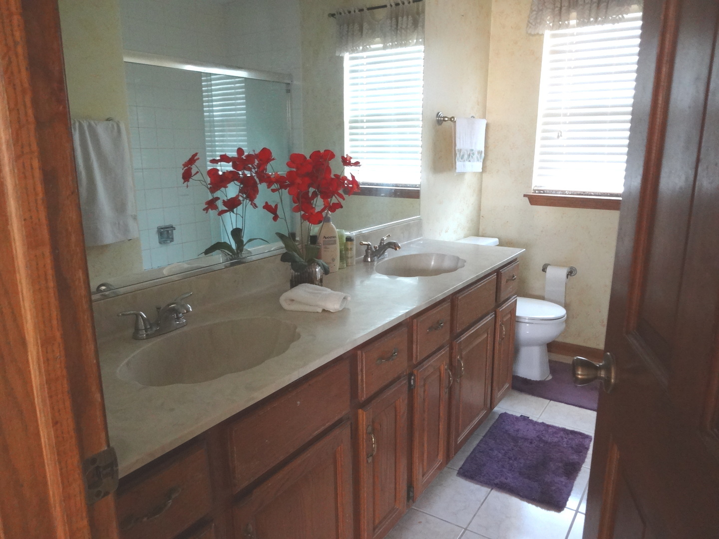 1340 Vernon Lane Bartlett, IL 60103 - Photo 17 of 24 a bathroom with a double vanity sink mirror and toilet