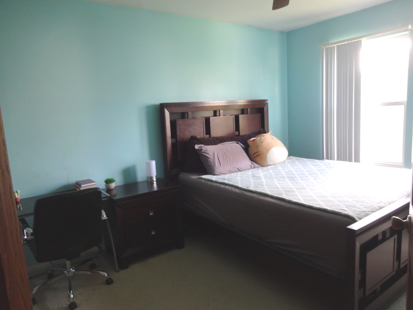 1340 Vernon Lane Bartlett, IL 60103 - Photo 18 of 24 a bedroom with a bed and a desk