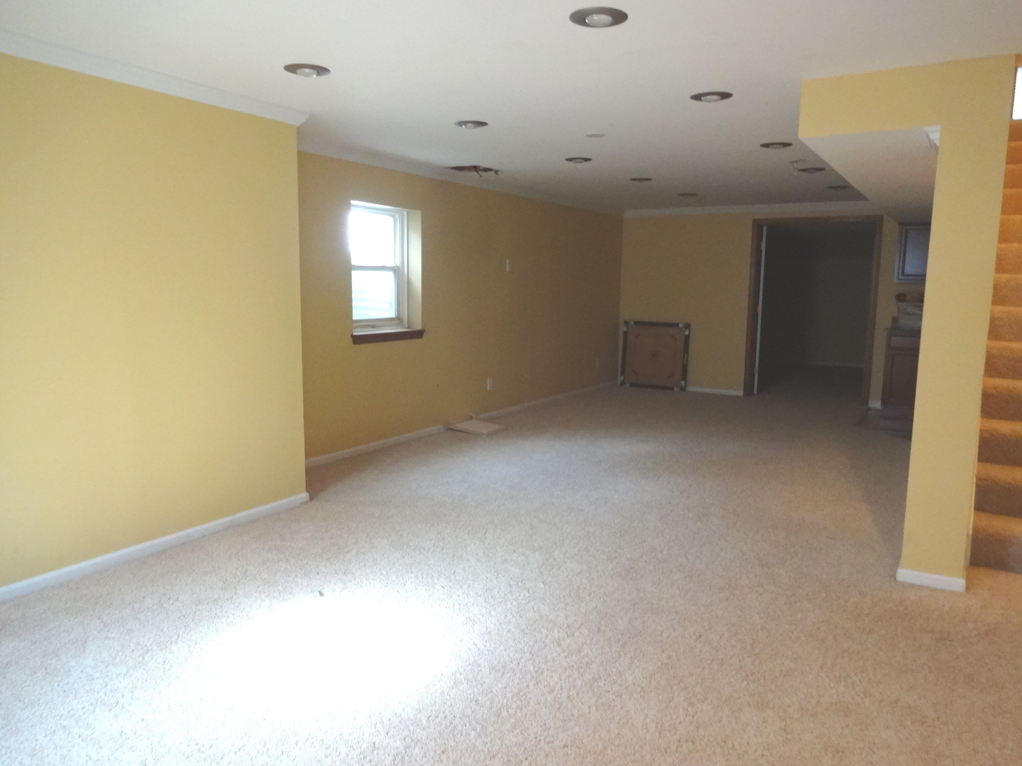 1340 Vernon Lane Bartlett, IL 60103 - Photo 20 of 24 an empty room with windows