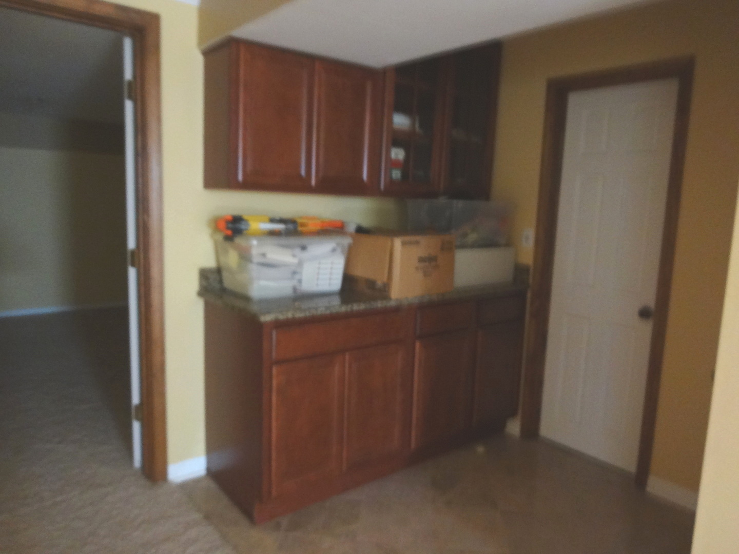 1340 Vernon Lane Bartlett, IL 60103 - Photo 23 of 24 a kitchen with a refrigerator and cabinets