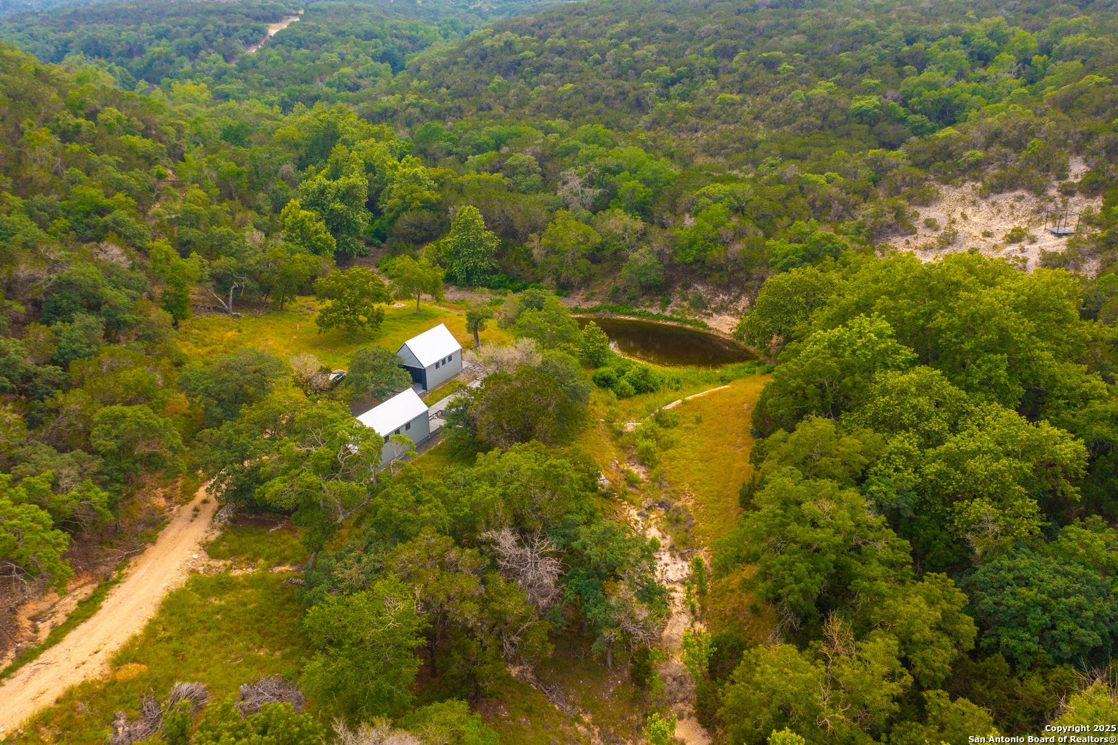 101 Bella Springs Road Boerne, TX 78006 - Photo 11 of 50 a close up of a tree in a yard