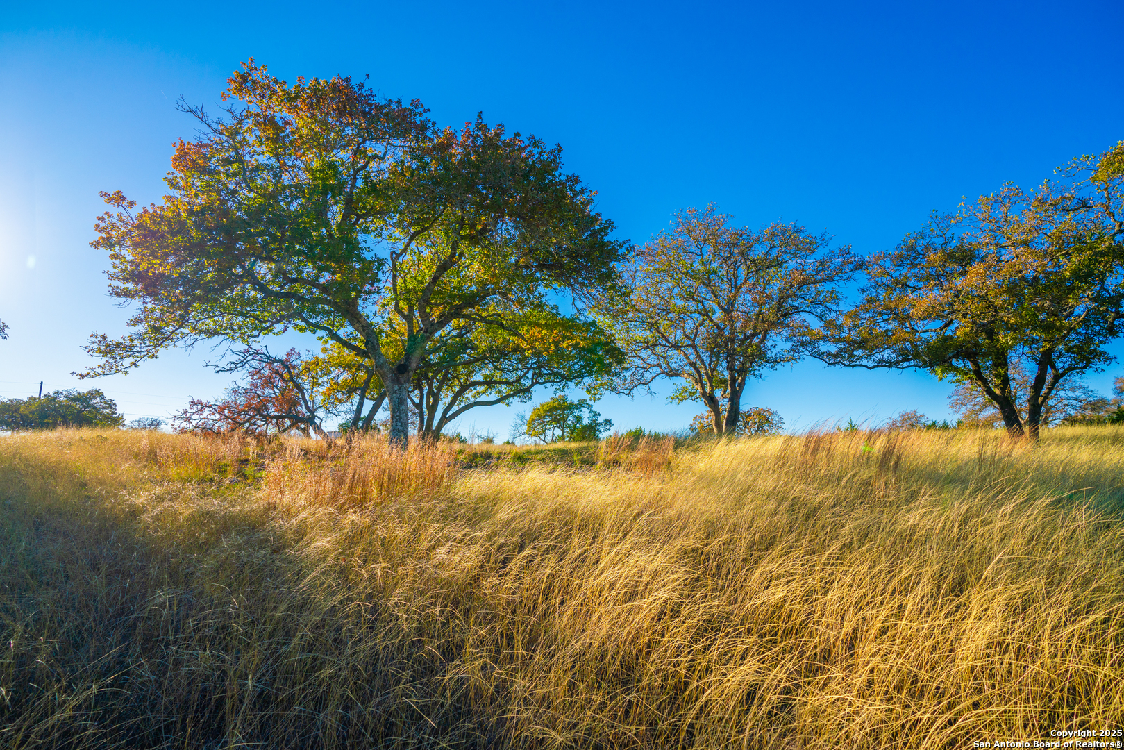 101 Bella Springs Road Boerne, TX 78006 - Photo 12 of 50