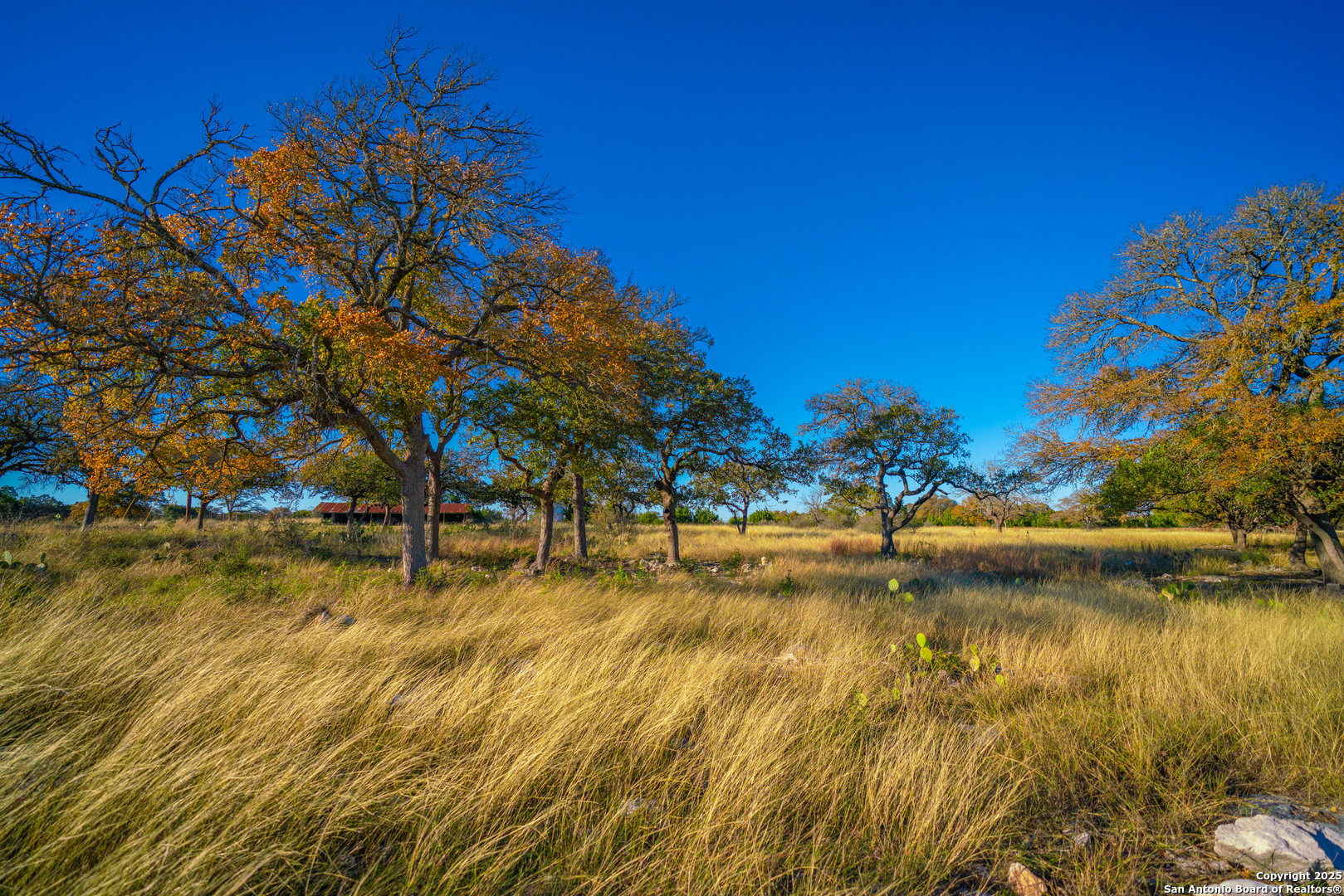101 Bella Springs Road Boerne, TX 78006 - Photo 19 of 50 a view of swimming pool with a yard