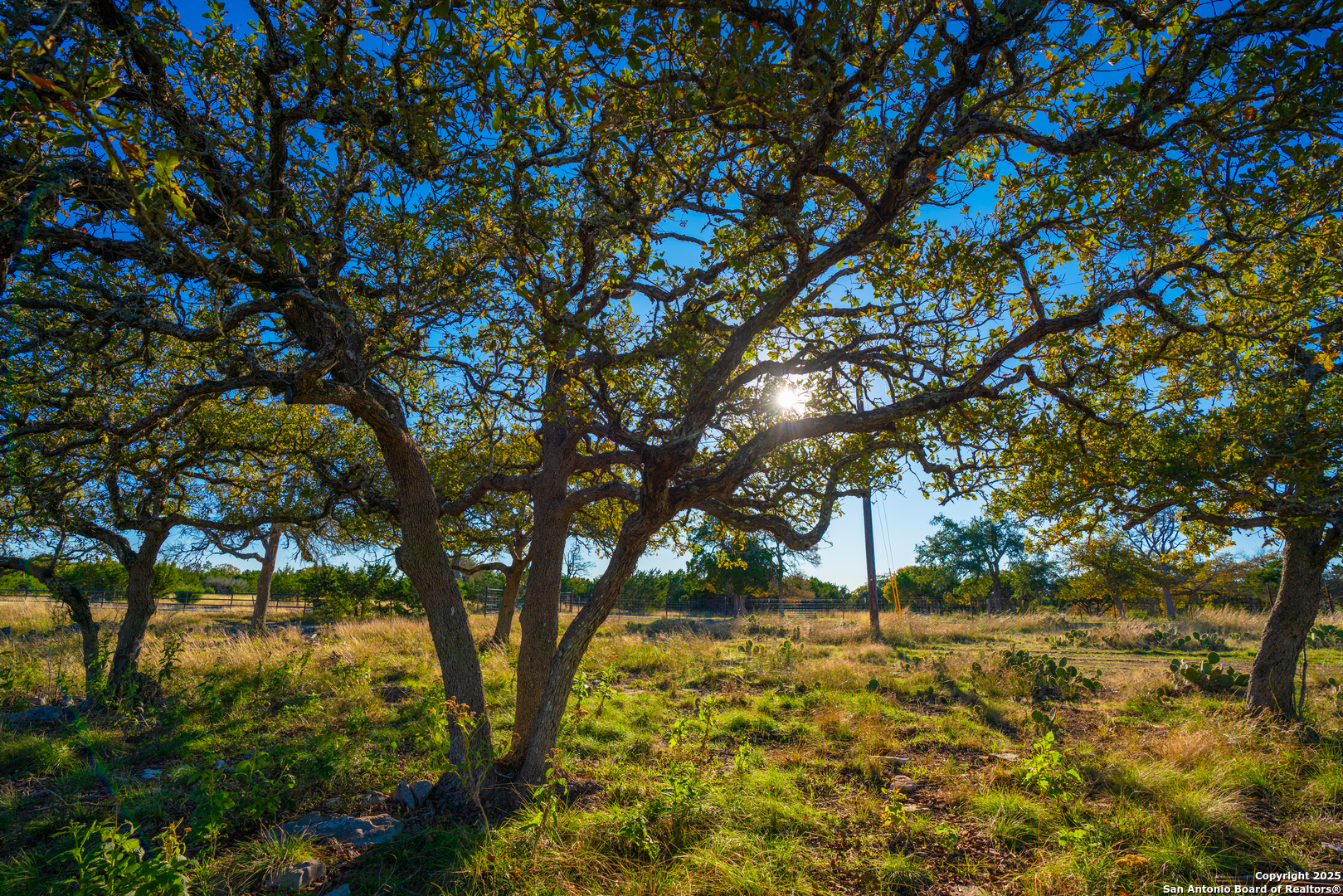 101 Bella Springs Road Boerne, TX 78006 - Photo 21 of 50