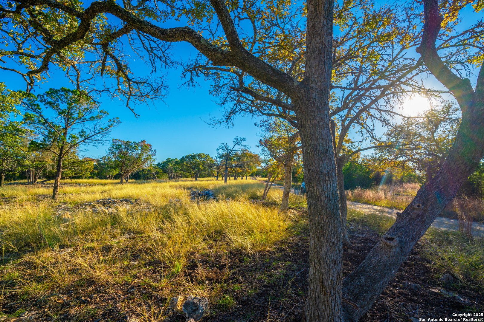 101 Bella Springs Road Boerne, TX 78006 - Photo 24 of 50 a view of lake view