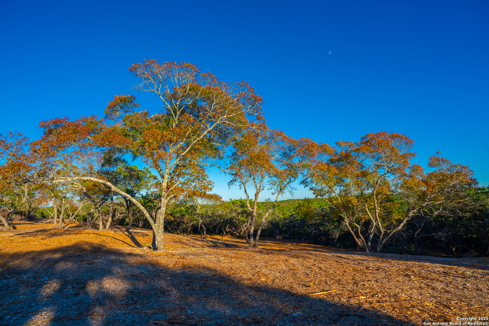 101 Bella Springs Road Boerne, TX 78006 - Photo 25 of 50 a view of a basketball court