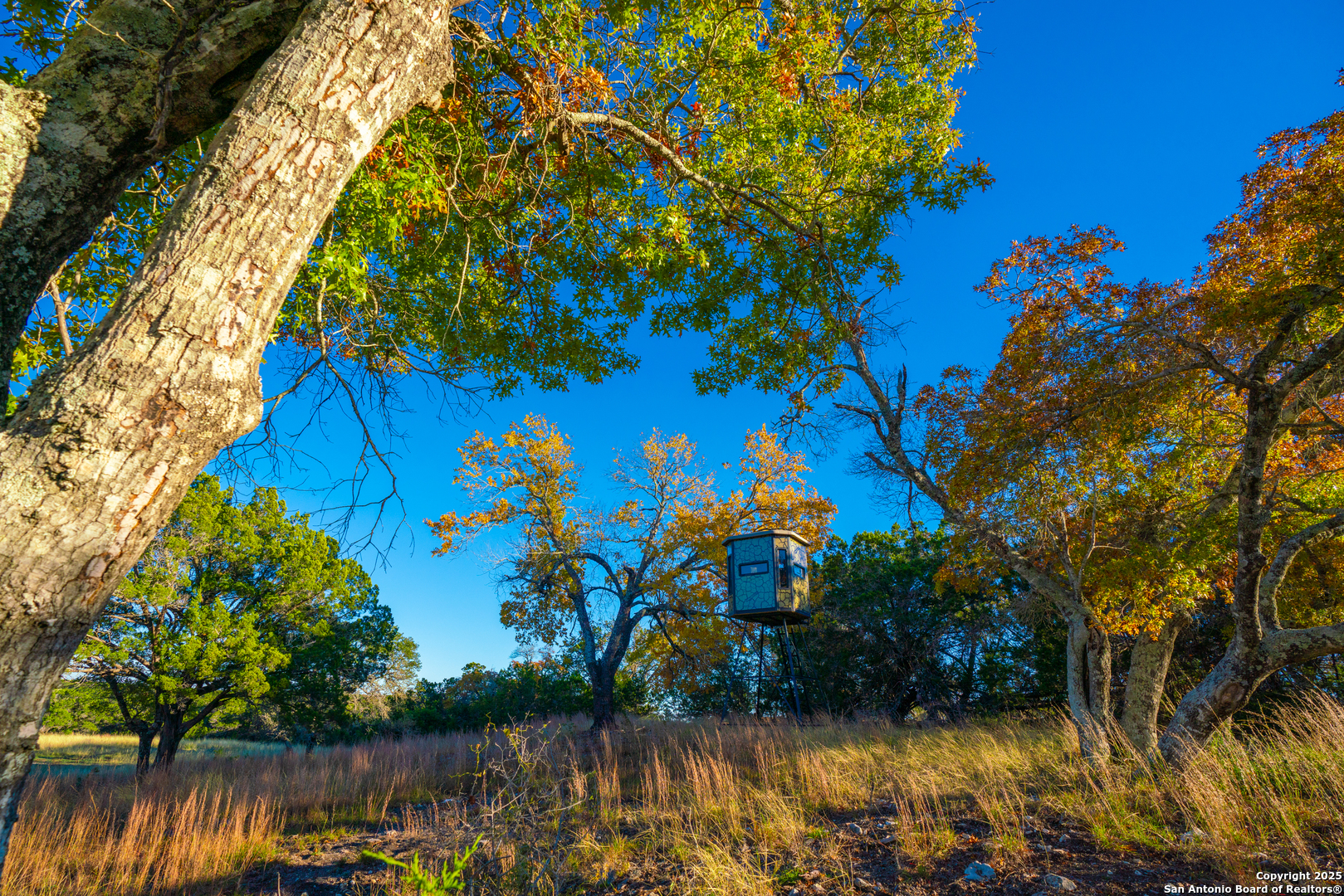 101 Bella Springs Road Boerne, TX 78006 - Photo 27 of 50 a view of lake