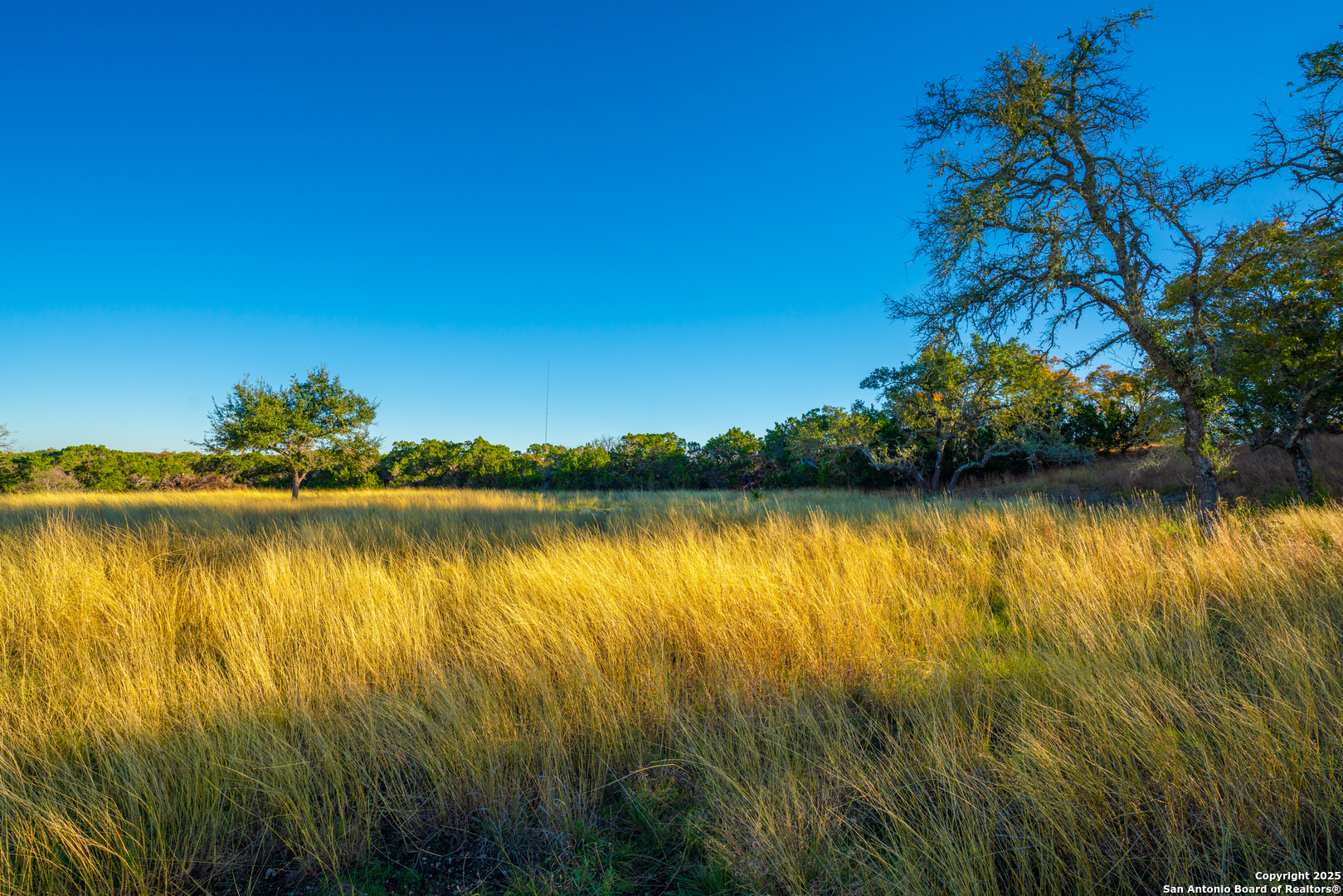 101 Bella Springs Road Boerne, TX 78006 - Photo 30 of 50 a view of lake with green space