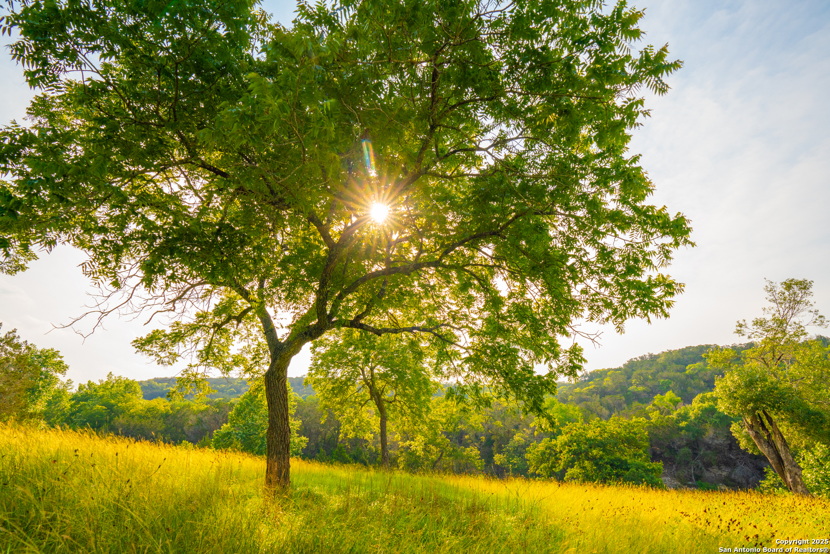 101 Bella Springs Road Boerne, TX 78006 - Photo 38 of 50 a view of yard from a yard
