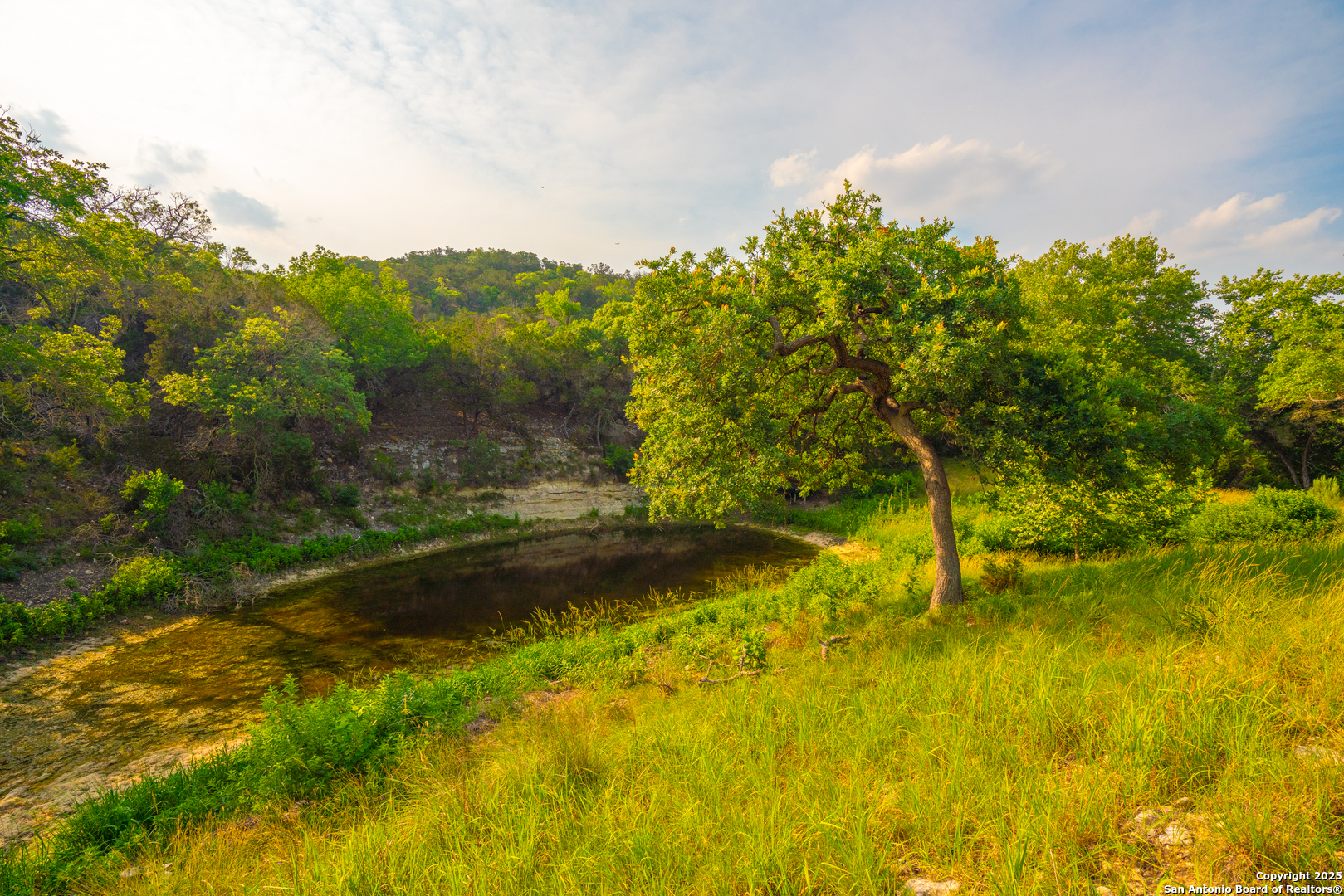 101 Bella Springs Road Boerne, TX 78006 - Photo 39 of 50 a view of a yard